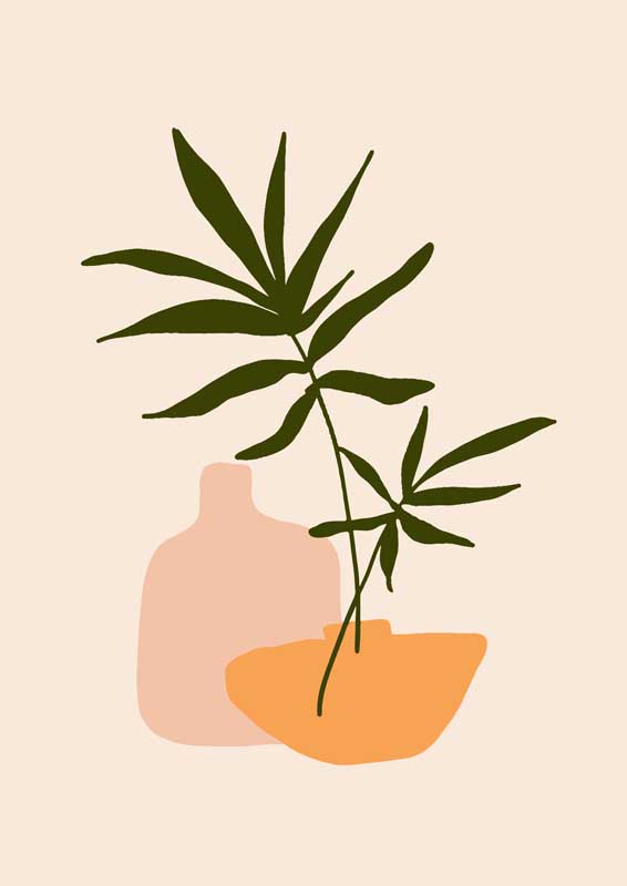 樱花草官网首页www